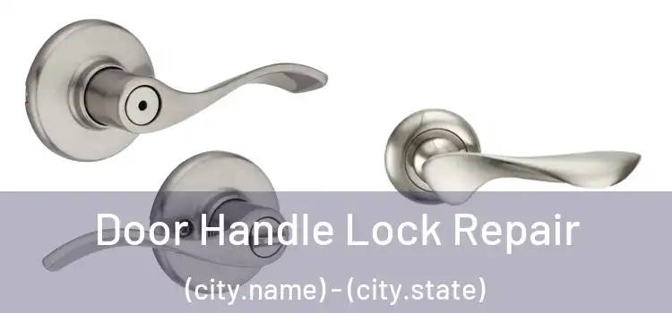 Door Handle Lock Repair (city.name) - (city.state)